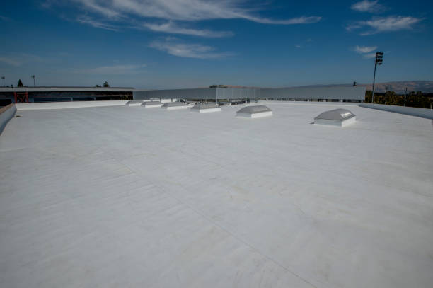 Best Rubber Roofing (EPDM, TPO)  in Austin, MN